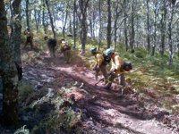 La Junta pide al Ministerio reconocer como bomberos forestales al Infoca