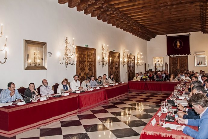 Pleno Diputación de Cáceres
