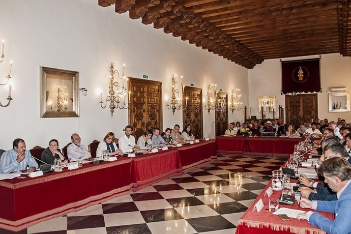 Pleno Diputación de Cáceres