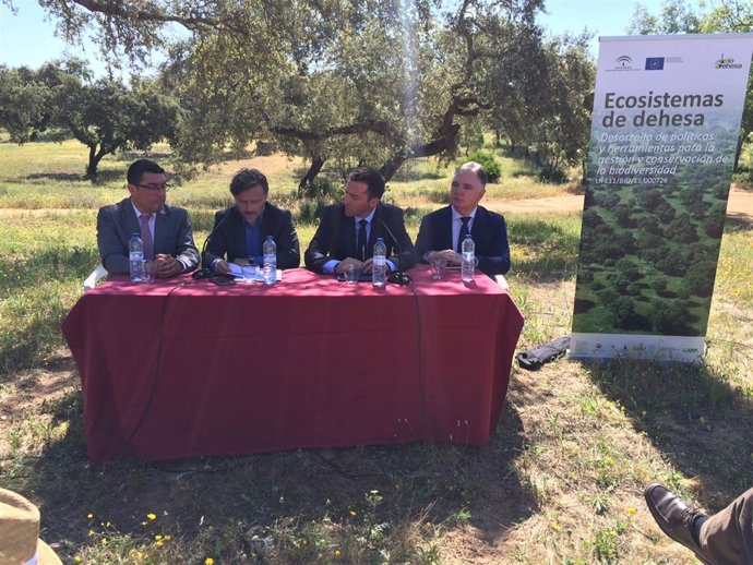 Junta y sector analizan los últimos avances del Plan Director de la Dehesa