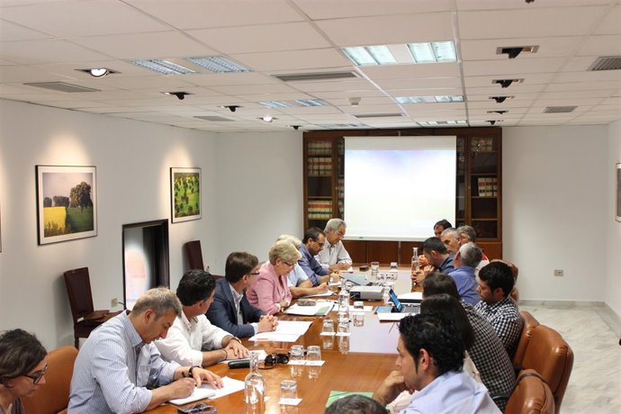 Grupo de trabajo para consensuar la orden de pesca del pulpo como marisqueo