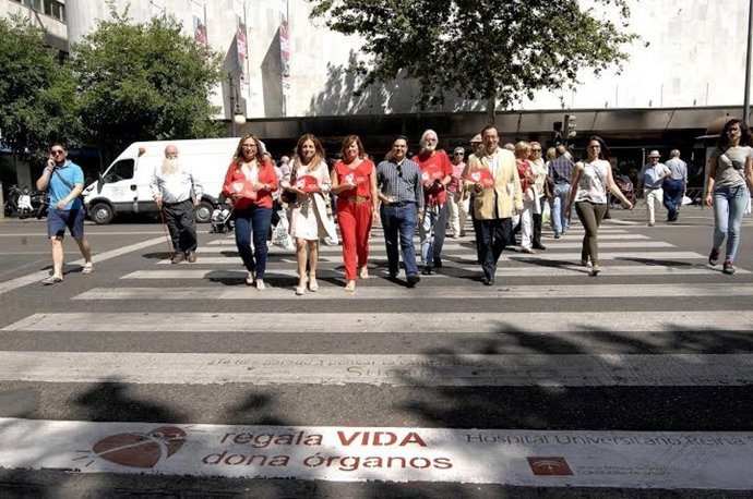 Uno de los pasos de peatones con el lema del día del donante