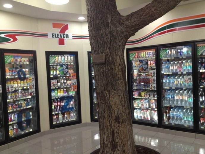 Nogal en 7-Eleven