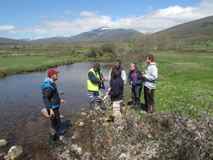 Comunicado: Actividad Visón Americano