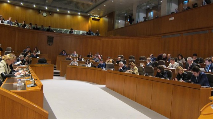 Pleno de las Cortes de Aragón