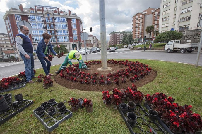 Renovación de flores