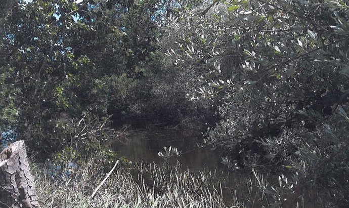 Estado en el que se encuentran los cauces de los ríos.