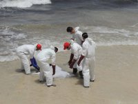 La Media Luna Roja Libia eleva a 117 los cadáveres encontrados en una playa tras un naufragio
