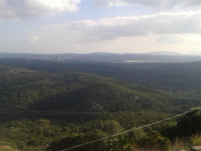 Parque de los Alcornocales (Cádiz)