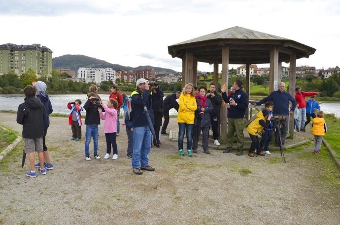 Día Mundial Medio Ambiente 