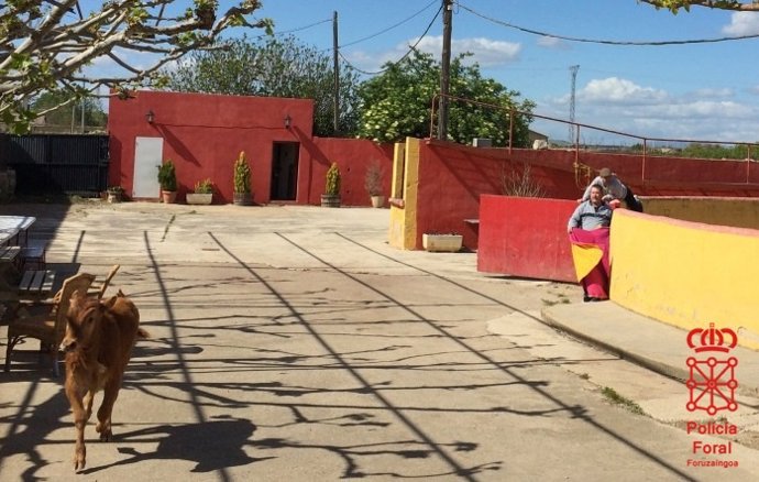 Capea taurina suspendida en Marcilla