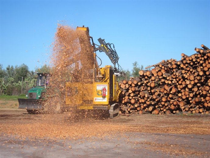 Producción de biocombustible sólido para calderas de biomasa. 