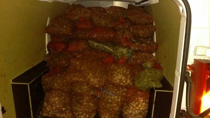 Almejas decomisadas en uno de los operativos realizados