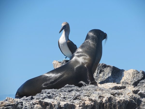 Islas Galápagos