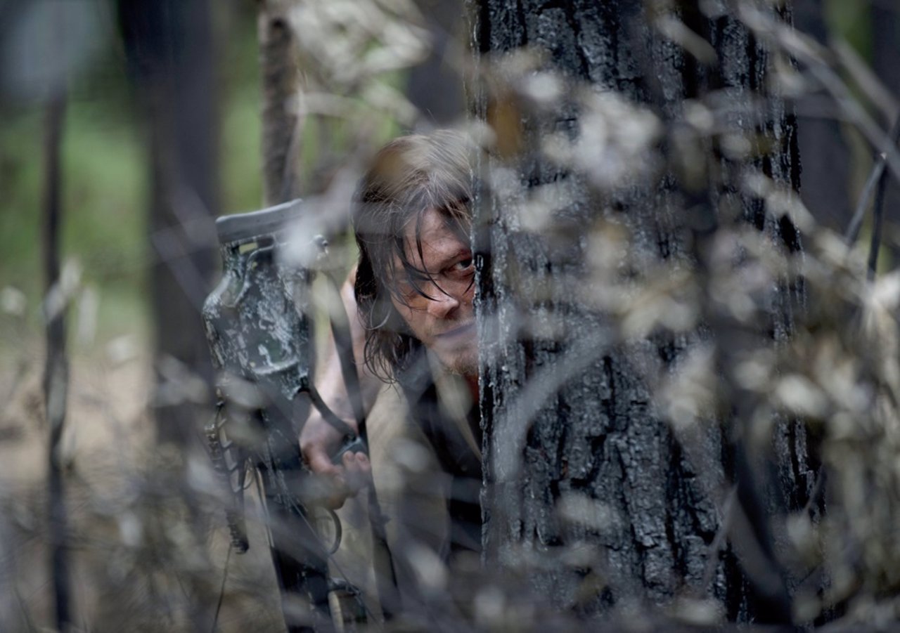 Daryl (Norman Reedus) - The Walking Dead