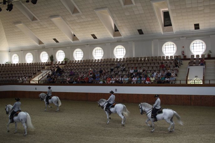 Real Escuela Andaluza del Arte Ecuestre