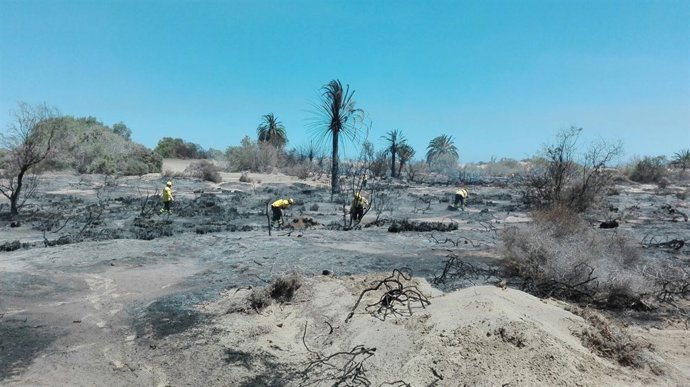 Labores de extinción del incendio declarado en las dunas de Maspalomas