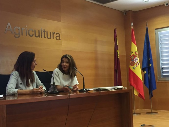 Imagen de la presentación