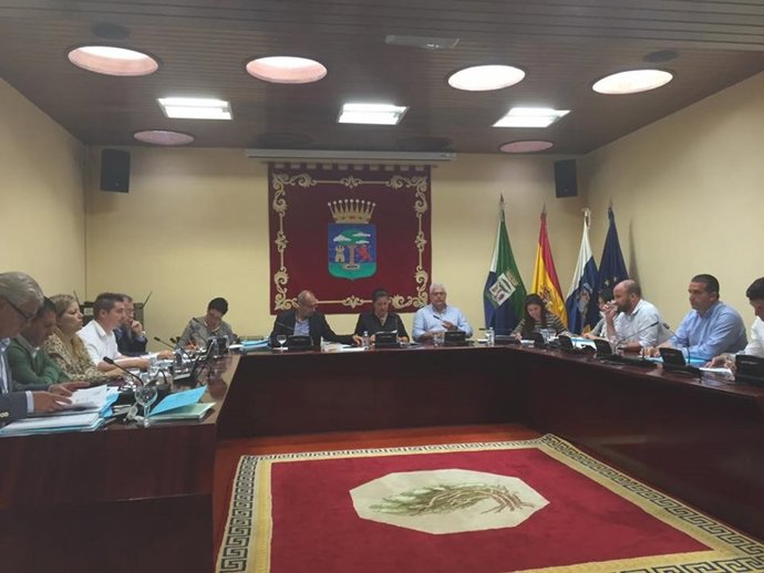 Pleno del Cabildo de El Hierro