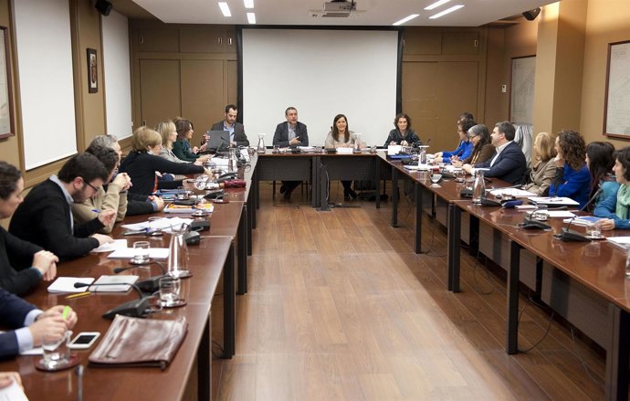 Reunión del Consejo de Bienestar Social de Navarra.