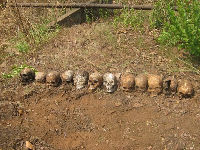 Las doce calaveras que fueron halladas en una fosa en Boali (RCA)
