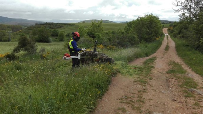 Camino de Santiago por la provincia de Palencia