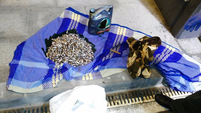 Dos detenidos con más de 34 kilos de hachís en Tarifa 