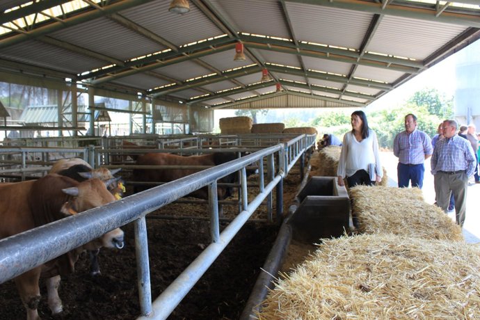 Susana López Ares en Llanera