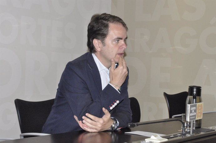 El portavoz parlamentario del PP-Aragón, Roberto Bermúdez de Castro. 