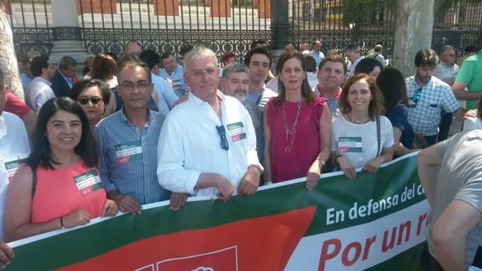 LOs socialistas de Sevilla en Madrid.