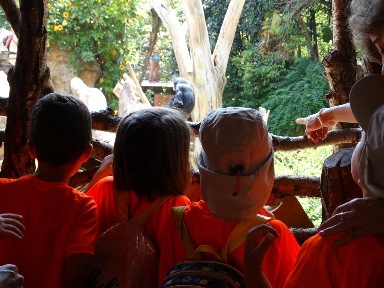 Nota De Prensa Jornada Escolar De Fotoprotección En Bioparc Fuengirola Campaña D