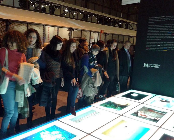 Muestra 'Elemental' en ARCOMadrid 2015. 