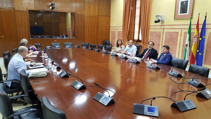 Ciudadanos (CS)| Aprobado El Calendario De Trabajos En El Grupo Creado Por Ciud