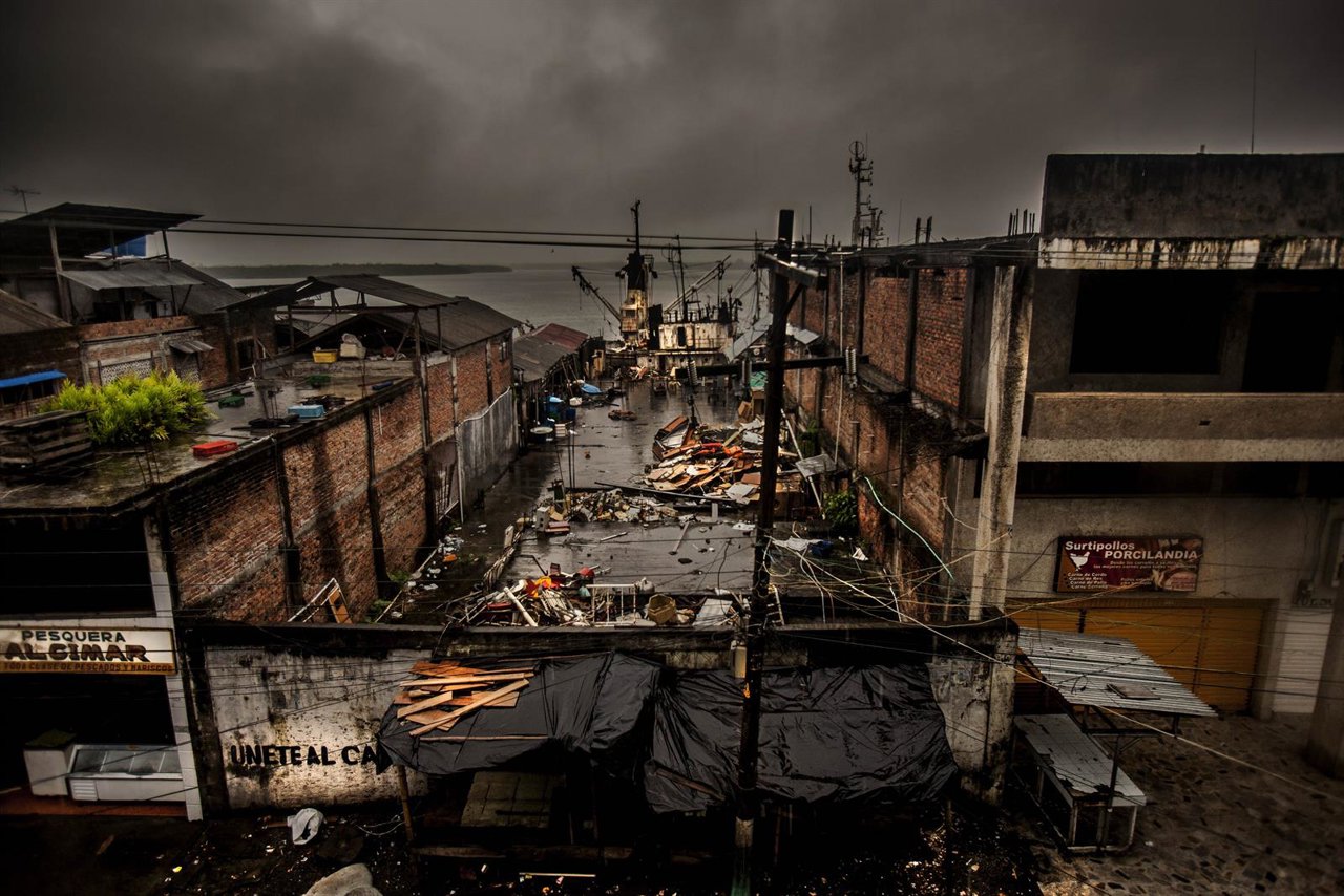 Imagen de la muestra