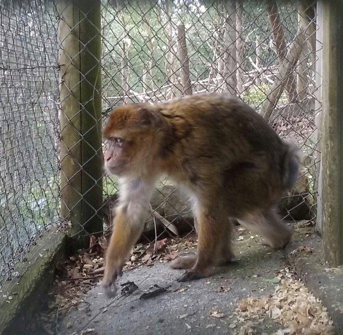 Nota De Prensa Karpin