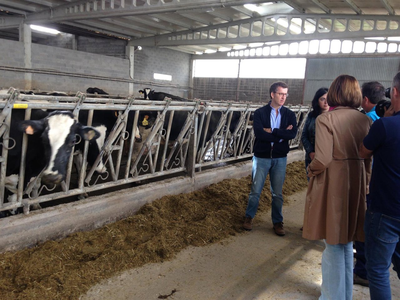 El presidente del PPdeG y de la Xunta, Alberto Núñez Feijóo