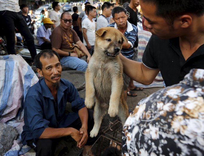 A customer holds a puppy for viewing at Dashichang dog market 