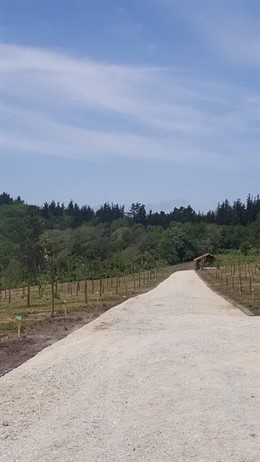  'Paseo De Las 100 Variedades'