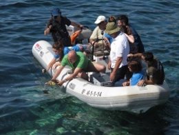 Ensenyat y Porsell liberan dos tortugas