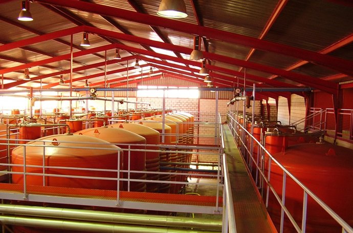 VISITAS GUIADAS: La Agrupación De Cooperativas Del Valle Del Jerte Abre Sus Puer