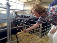 Ortiz reclama un incremento de la ayuda de la PAC para el sector caprino