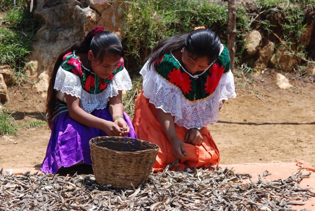 México