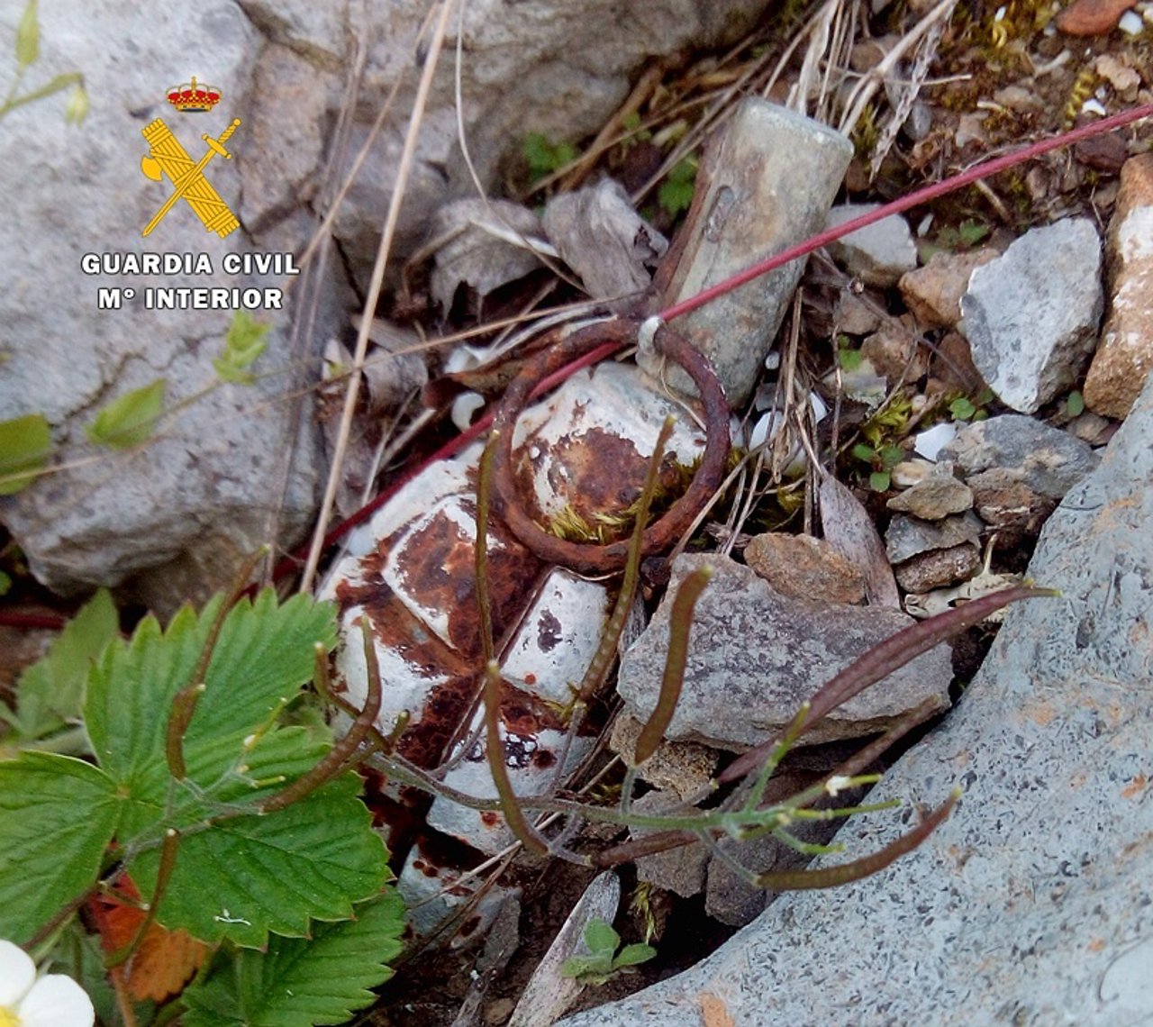 Granada de mano destruida por artificieros de la Guardia Civil. 