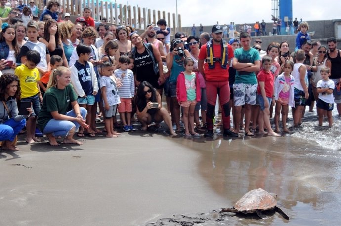 Suelta de tortugas en Las Palmas de Gran Canaria