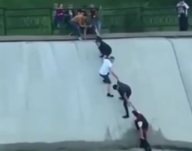 Cadena humana para salvar a un perro que cayó a una presa