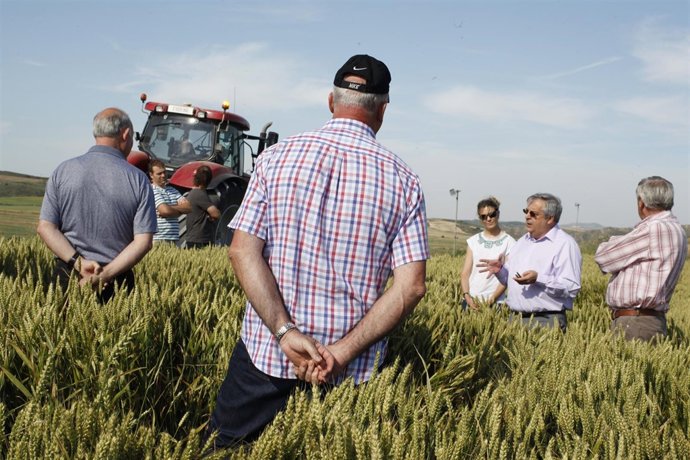 Mondelez International agricultores proyecto sostenible 'Compromiso Harmony'