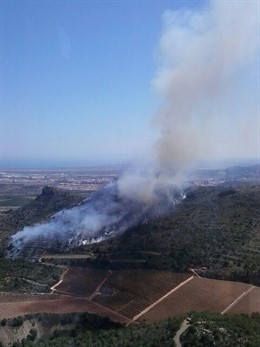 Incendio forestal en Sagunto
