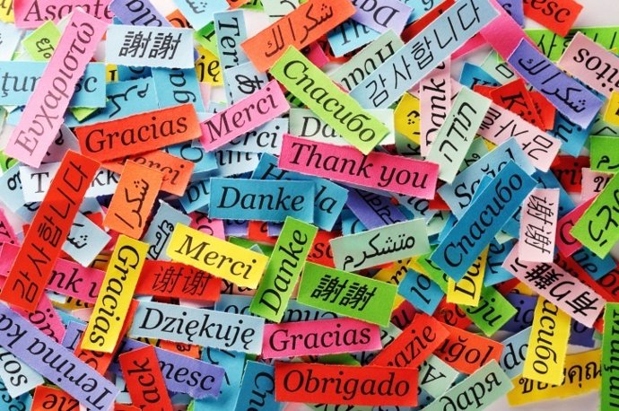 Idiomas, idioma