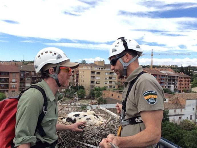 Los APN junto al nido de cigüeña en Barbastro 