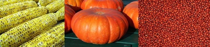 Maíz, calabaza y frijoles 